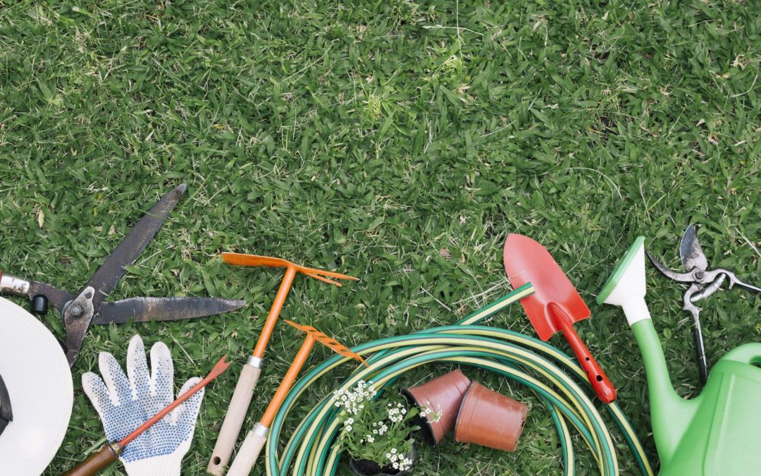 Essential Gardening tools for beginners